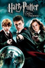 Harry Potter and the Order of the Phoenix (2007) 360p + 720p + 1080p + 2160p 4K BluRay x265 10bit HEVC [Org AMZN Hindi DDP 5.1 ~ 640Kbps+ English AAC 7.1] ESub