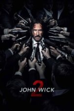 John Wick Chapter – Chapter 2 (2017) 360p + 720p + 1080p + 2160p 4k 10bit BluRay x265 HEVC [Org Hindi DD 2.0 ~ 384Kbps + English AAC 5.1] ESubs