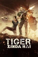 Tiger Zinda Hai (2017) Hindi 360p + 720p + 1080p + 2160p 4k BluRay DD 5.1 ESubs – LOKI – M2Tv.mkv