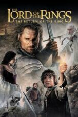 The Lord of the Rings: The Return of the King (2003) BLURAY Extended [Hindi + English (DDP 5.1)] 1080p | 720p | 480p | MSub