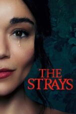 The Strays (2023) WEB-DL Dual Audio [Hindi DD5.1 + English DD5.1] 480p | 720p | 1080p ESub