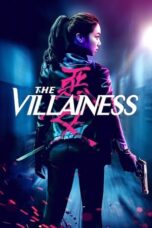 The Villainess (2017) BluRay Dual Audio [Hindi DD5.1 + Korean DD5.1] 480p | 720p | 1080p ESub