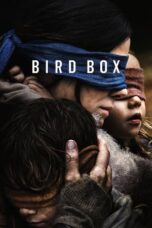 Bird Box (2018) BluRay Dual Audio [Hindi DD5.1 + English DD5.1] 480p | 720p | 1080p MSub