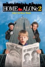 Home Alone 2: Lost in New York (1992) BluRay Dual Audio [Hindi DD5.1 + English DD5.1] 480p | 720p | 1080p ESub