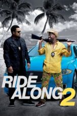 Ride Along 2 (2016) BluRay Dual Audio [Hindi DD5.1 + English DD5.1] 480p | 720p | 1080p ESub