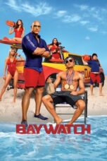 Baywatch (2017) BluRay Dual Audio [Hindi DD5.1 + English DD5.1] 480p | 720p | 1080p ESub