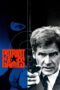 Patriot Games (1992) BluRay  REMASTERED Dual Audio [Hindi DD5.1 + English DD5.1] 480p | 720p | 1080p ESub