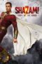 Shazam Fury Of The Gods (2023) Hollywood Movie 480p + 720p + 1080p WEBRip Multi [Hin + Tam + Tel + Eng] ESubs