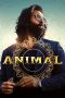 Animal 2023 Bollywood CamRip Hindi X264 Download ( 1XBET)