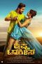 Krishna Talkies (2023) [Hindi + Kannada DDP 5.1] 1080p | 720p | 480p | 10bt HEVC | MSub